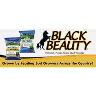 Jonathan Green Black Beauty Grass Seed POP Kit for Southern/Transitional Zones