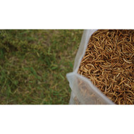 Wonder Grubs 5 Lb. Dried Mealworms