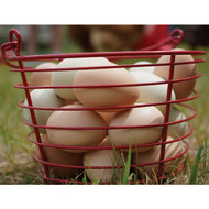 Stromberg's Large Red Egg Basket