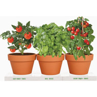 TotalGreen Holland Italian Herb Trio Grow Kit