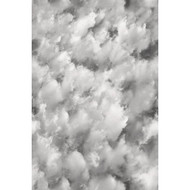 Artscape 24 In. x 36 Clouds Window Film