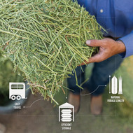 Standlee Premium Western Forage 25 Lb. Premium Timothy Grass Chopped Hay Horse Feed