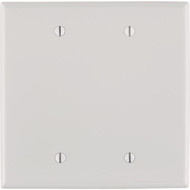 Leviton 2-Gang Mid-Way Thermoplastic Nylon Blank Wall Plate  White