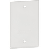 Southwire Single Gang White Weatherproof Blank Cover