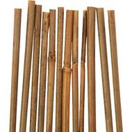 Gardener's Blue Ribbon 4 Ft. Bamboo Plant Stake (12-Pack)