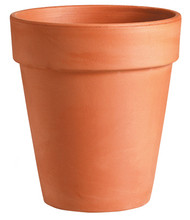 6.3" Tc Tall Pot