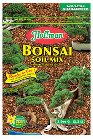 2qt Bonsai Mix
