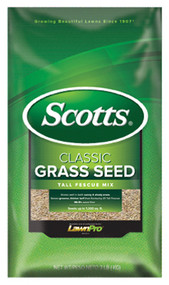 20lbclass Tall Fescue