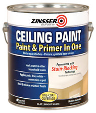 Gal Ceil Paint/primer
