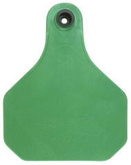 20pk Warrior Insect Tag