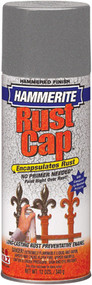 12oz Slv Hammered Paint