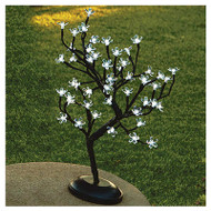 18"wht 48lt Bonsai Tree