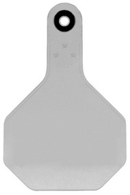 25pk Med Wht Blank Tag