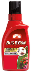 Qt Conc Bug B Gon Max