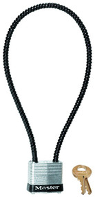 Cable Gun Lock
