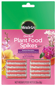 Mg 10pk Orchid Spike