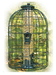 Squirrel Proof Feeder
