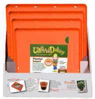 24pc Sq Ups-a-daisy Dsp