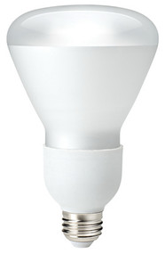 Wp15w Sw R30 Dim Bulb