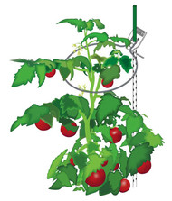 3pk Sturdy Stake Ring