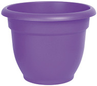 Ariana 10" Purp Planter