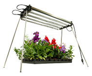 4lamp Mod T5 Lgt System