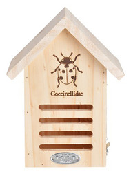 9" Wd Lady Bug House