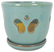 5.5" Butterfly Orch Pot