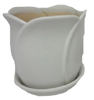 8"tulip Pot Asstd