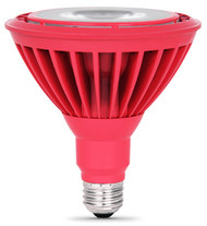 6w Red Par38 Led Bulb