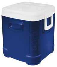 Ice Cube 48qt Cooler