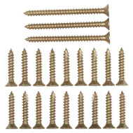 Sat Brs Dr Hinge Screws