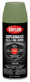 12oz Fern Sat Prm Paint