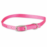 3/8x12 Pnk Dog Collar