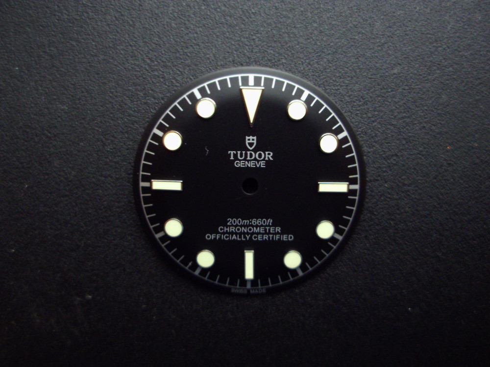 tudor black bay 79220n