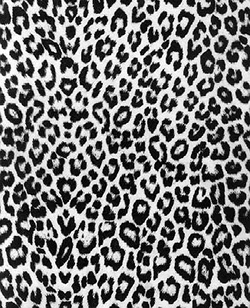 leopard-print.jpg leopard-print.jpg