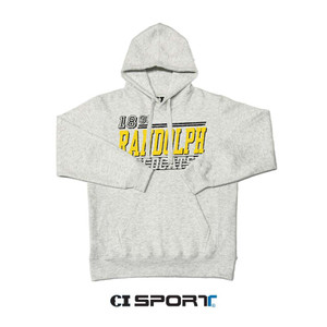 CI Sport Hooded Sweatshirt in Ash
