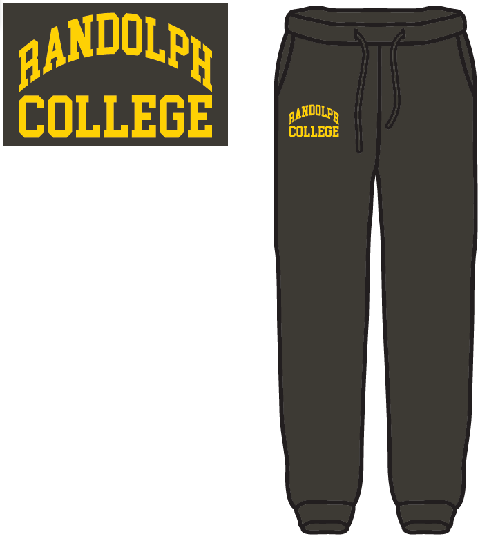 champion gray sweatpants