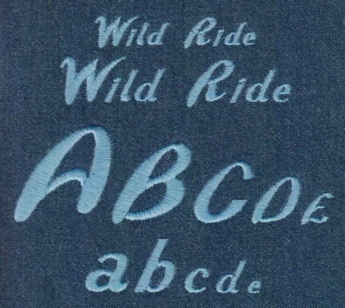 644 Wild Ride Mini Satin Font Jolson S Designs