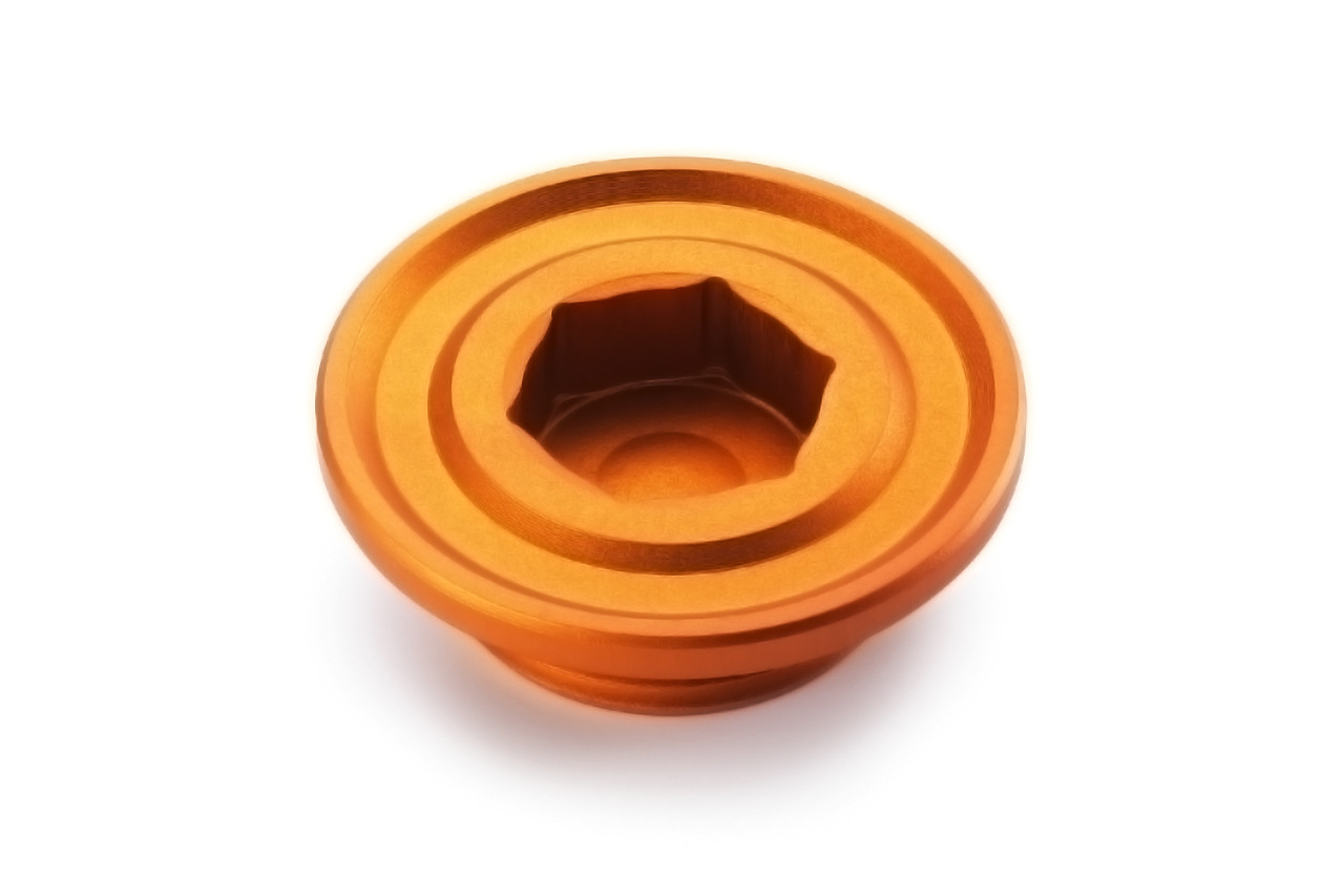 KTM Ignition Cover Plug