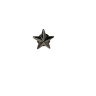 Star Lapel Pin