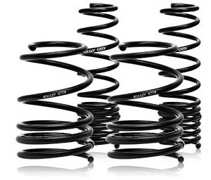 Nissan Gt R Swift Sport Spec R Lowering Springs 11 14 Nissan Gt R Swift Sport Spec R Lowering Springs 11 14