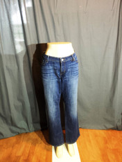 Levis Jeans, blue denim, size 24L
