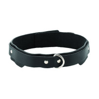 Double Strap Leather Collar