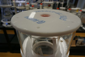 Bubble Magus Curve 9 Protein Skimmer Cup View