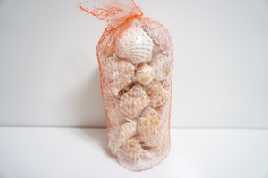 Assorted Sea Shell Pack (1.5 lbs.)