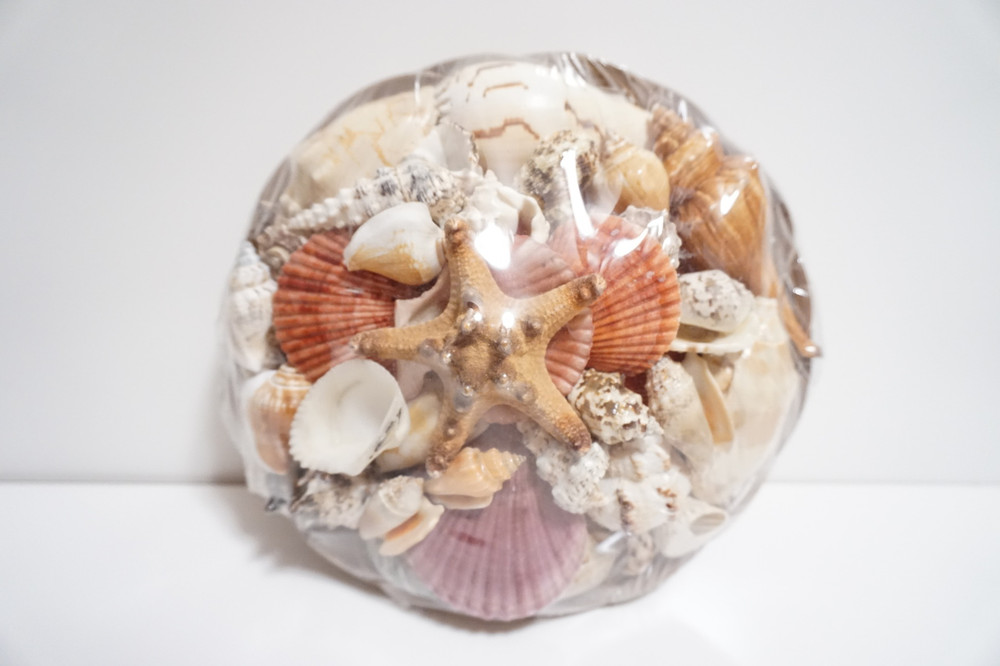 Assorted Sea Shell Pack Large (3.5 lbs.) Shark and Reef