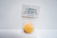 5 Pack Orange Sea Shells 1.5 Inch Wide (1.2 oz. Bag)