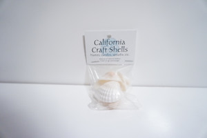 1.5 Inch White Sea Shells (1.2 oz. Bag)