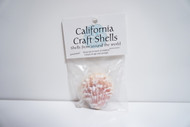 White Sea Shells 1 oz. Bag 1.5 Inch